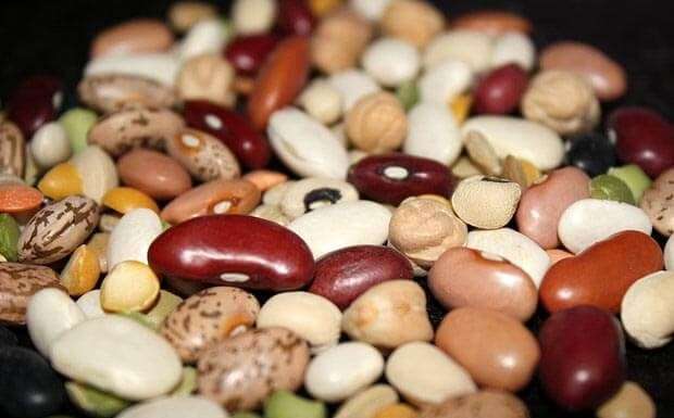 Про користь кукурудзи