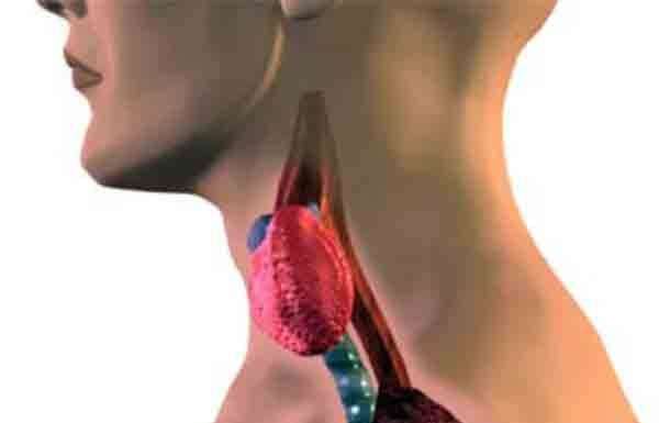 Гіпотиреоз? Допоможуть народні засоби