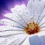 Як позбутися від вірусу папіломи