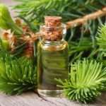 Кедрове масло користь та шкода, приготування, застосування