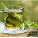 Лікування нирок народними засобами