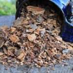 Лікування щитовидної залози вишневої корою