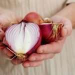 Народні методи лікування цибулею