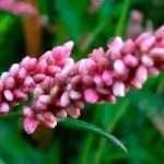 Як зупинити маткова кровотеча