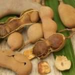 Народні засоби від вітіліго