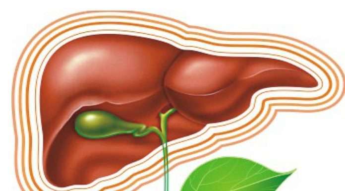 Як і чим очистити печінку? Чищення печінки простими продуктами харчування