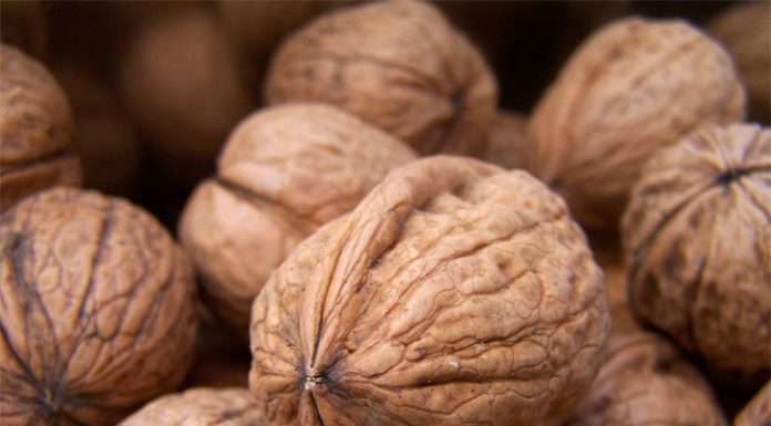 Як лікуватися шкіркою волоського горіха