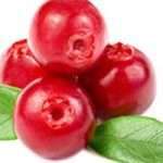 Корисні властивості журавлини