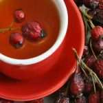 Користь шипшини. Лікування шипшиною