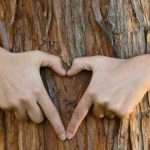 Знайди своє дерево і зцілися