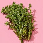 Як позбутися від укусів комарів за одну ніч