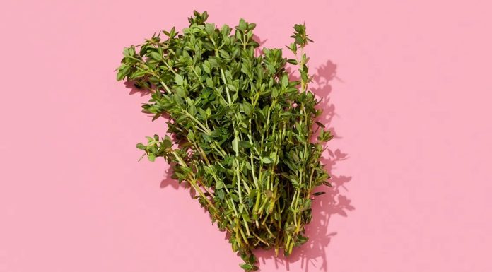 Як позбутися від укусів комарів за одну ніч