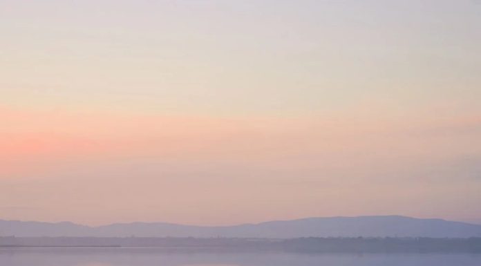 Чи справді працює детоксикація допаміну? Ось що вам потрібно знати – Блог Calm