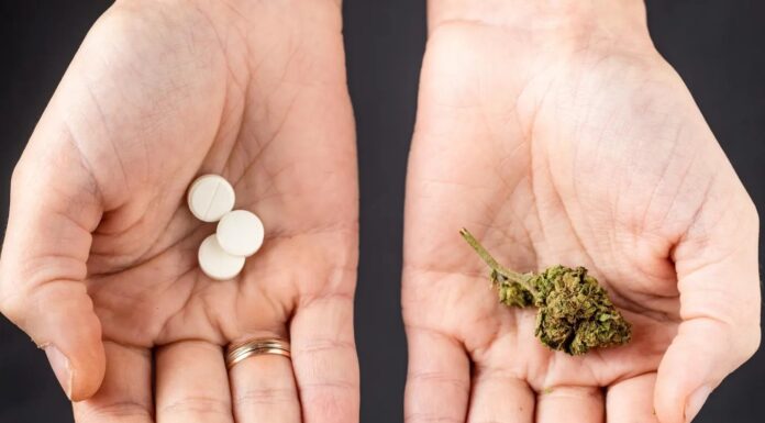 З Неопіоїдними Знеболюючими Виникли Проблеми-Канабісние Препарати Можуть Стати Вирішенням Проблеми