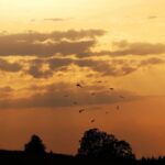 Чому шаденфрейд зустрічається частіше, ніж ви думаєте – Calm Blog