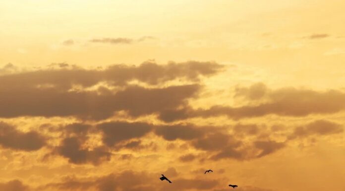 Чому шаденфрейд зустрічається частіше, ніж ви думаєте – Calm Blog