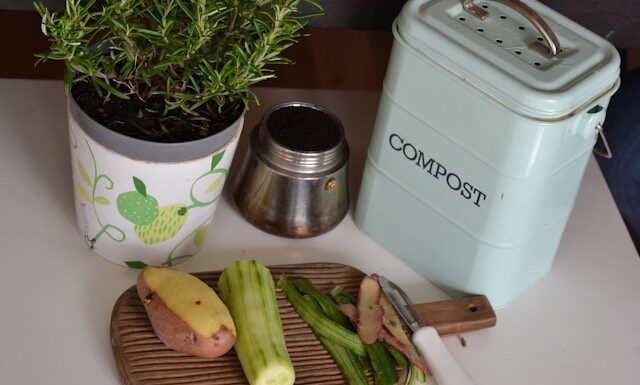 Найкращі способи безпечного зберігання залишків