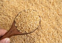 Корисність кіноа для здоров’я: всебічний огляд