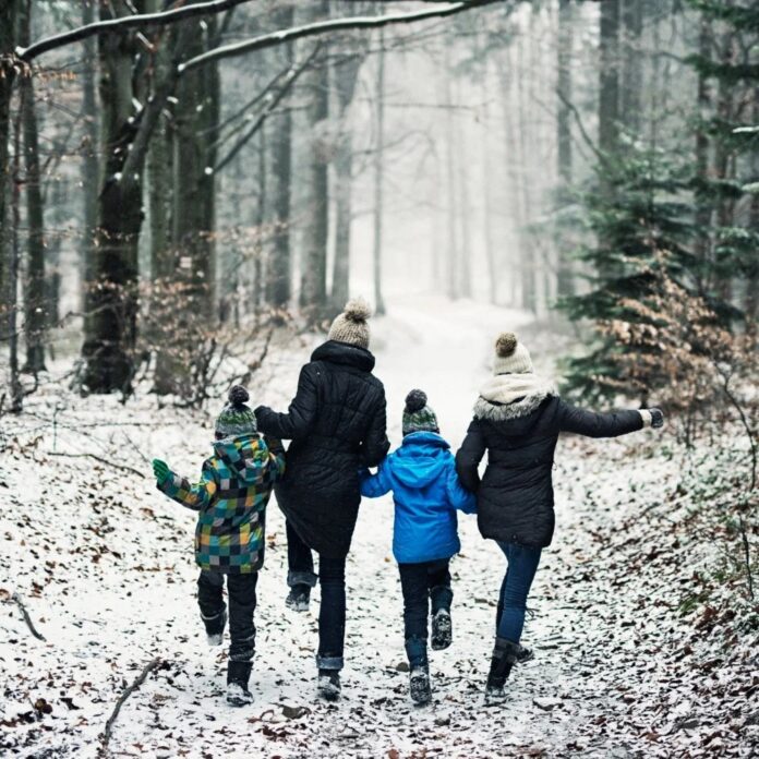 0f0e7b73-435a-41bc-8578-e24eabfd6252