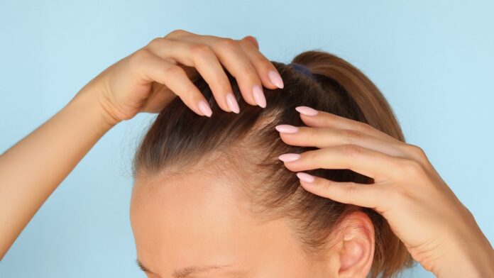 11650c1c-fa18-4461-bbcc-2f082b90fd24