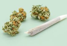Зловживання марихуаною пов’язане з підвищеним ризиком раку голови та шиї