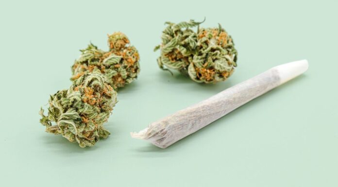 Зловживання марихуаною пов’язане з підвищеним ризиком раку голови та шиї