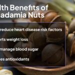 Горіхи макадамії: повний огляд користі для здоров’я, харчування та ризиків