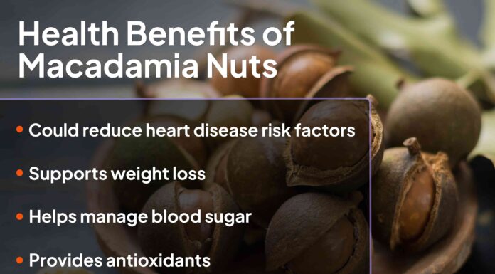 Горіхи макадамії: повний огляд користі для здоров’я, харчування та ризиків