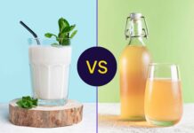 Кефір і чайний гриб: чітке порівняння здоров’я кишечника