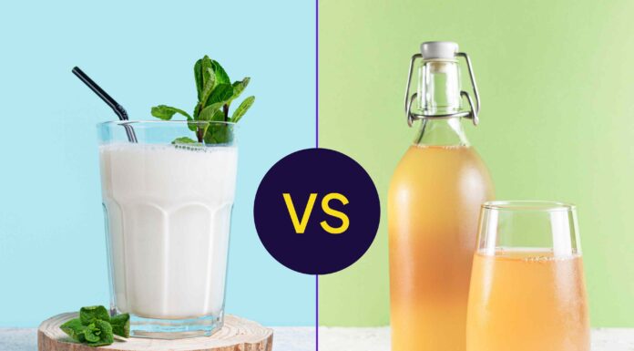 Kefir dan Kombucha: Perbandingan yang Jelas untuk Kesehatan Usus