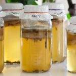 Комбуча: Скільки Забагато? Побічні Ефекти та Безпека