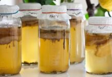 Комбуча: Скільки Забагато? Побічні Ефекти та Безпека