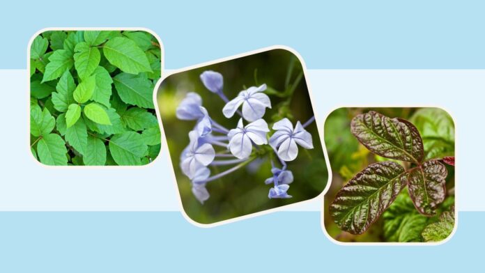 7d5c0270-d48d-4db9-9961-2288bf5d15f9