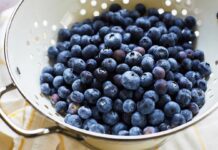 Чорниця: простий засіб для здоров’я серця