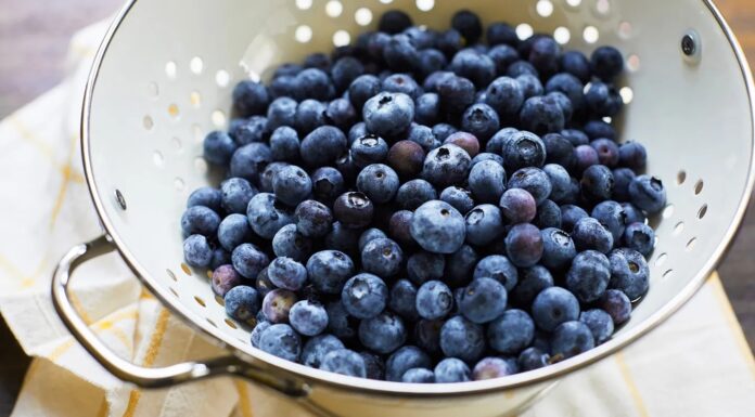 Чорниця: простий засіб для здоров’я серця