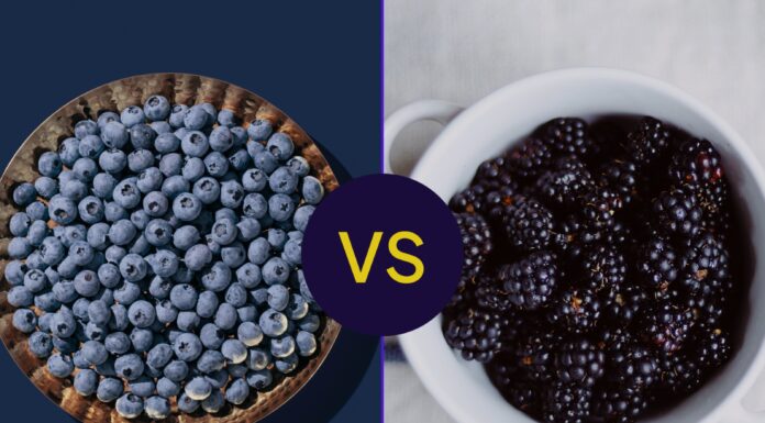 Чорниця проти ожини: детальне порівняння антиоксидантів