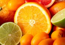 Optimiser la consommation d’agrumes : timing pour l’énergie, l’immunité et la récupération