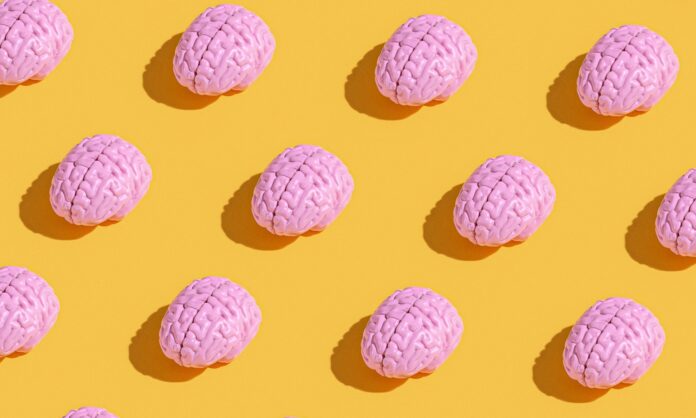 f0264077-146f-4ec2-9567-c7b793542613