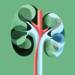 Трансплантація нирок при рідкісних гломерулярних захворюваннях: Що Пацієнтам Потрібно Знати