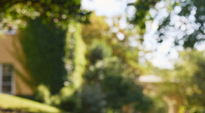 Діафрагмальне Дихання: Простий Спосіб Зниження Стресу