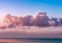 Почуття Безпеки: Розуміння Розриву Між Розумом і Тілом та 12 Способів Заземлитись