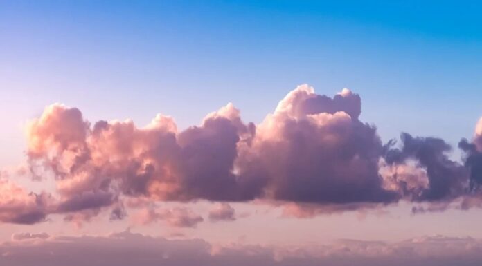 Почуття Безпеки: Розуміння Розриву Між Розумом і Тілом та 12 Способів Заземлитись