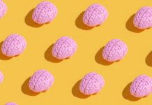 Jenseits von Kreuzworträtseln: Die einzige Art von Gehirntraining, das Demenz tatsächlich bekämpft