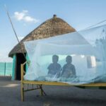 Смертельний перетин війни та малярії: чому конфлікти провокують кризу охорони здоров’я