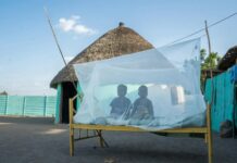 Смертельний перетин війни та малярії: чому конфлікти провокують кризу охорони здоров’я