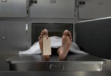Чому варто турбуватися про серце, а не про блискавку: реалістична оцінка ймовірності смерті