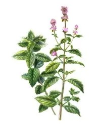 529e4693-48ce-4df7-9d7c-7819b08f1eae