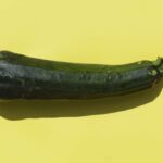 How Zucchini Supports Heart Health and Digestion: A Simple Guide to Its Benefits